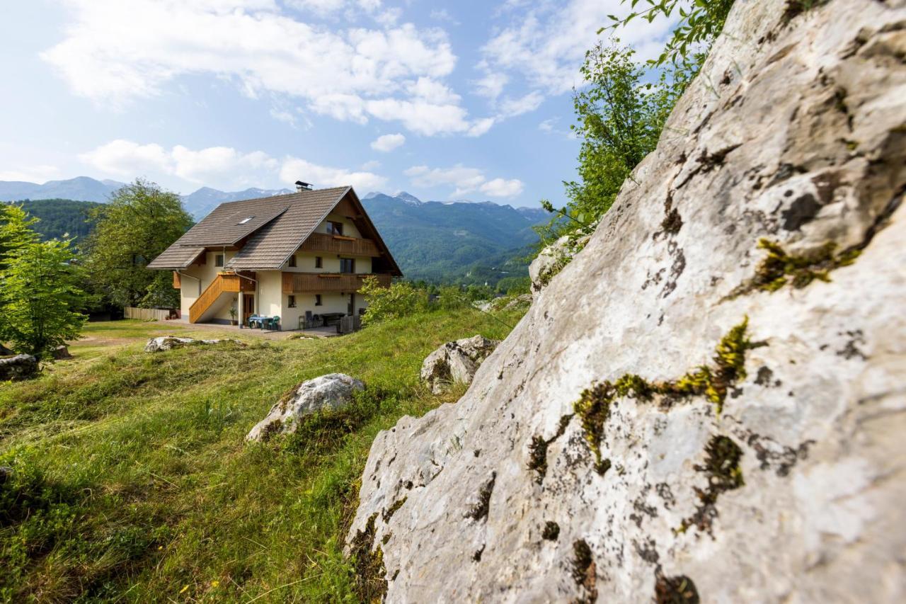 Apartmaji Pr' Brdarju Daire Bohinj Dış mekan fotoğraf